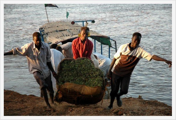 Tuti Island-喀土穆必去景点