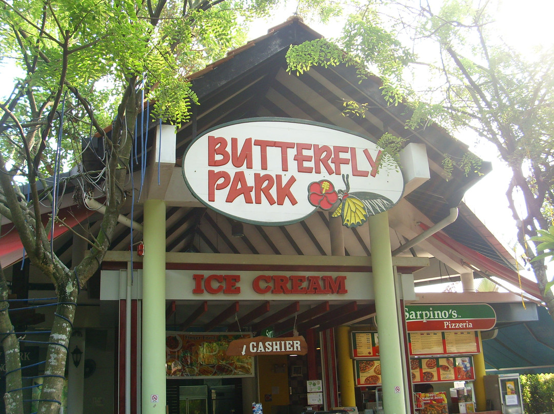 蝴蝶公园与昆虫王国景点图片