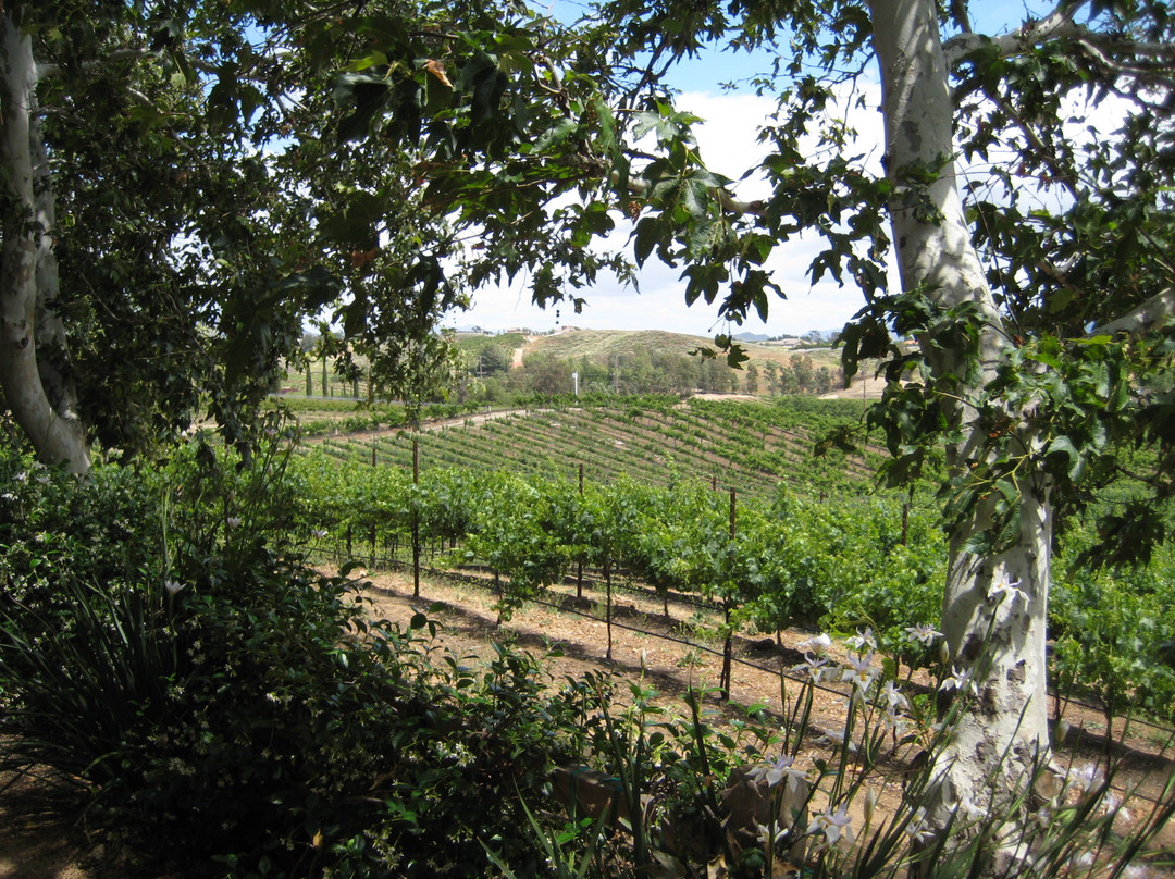 Halter Ranch Temecula-特曼库拉必去景点