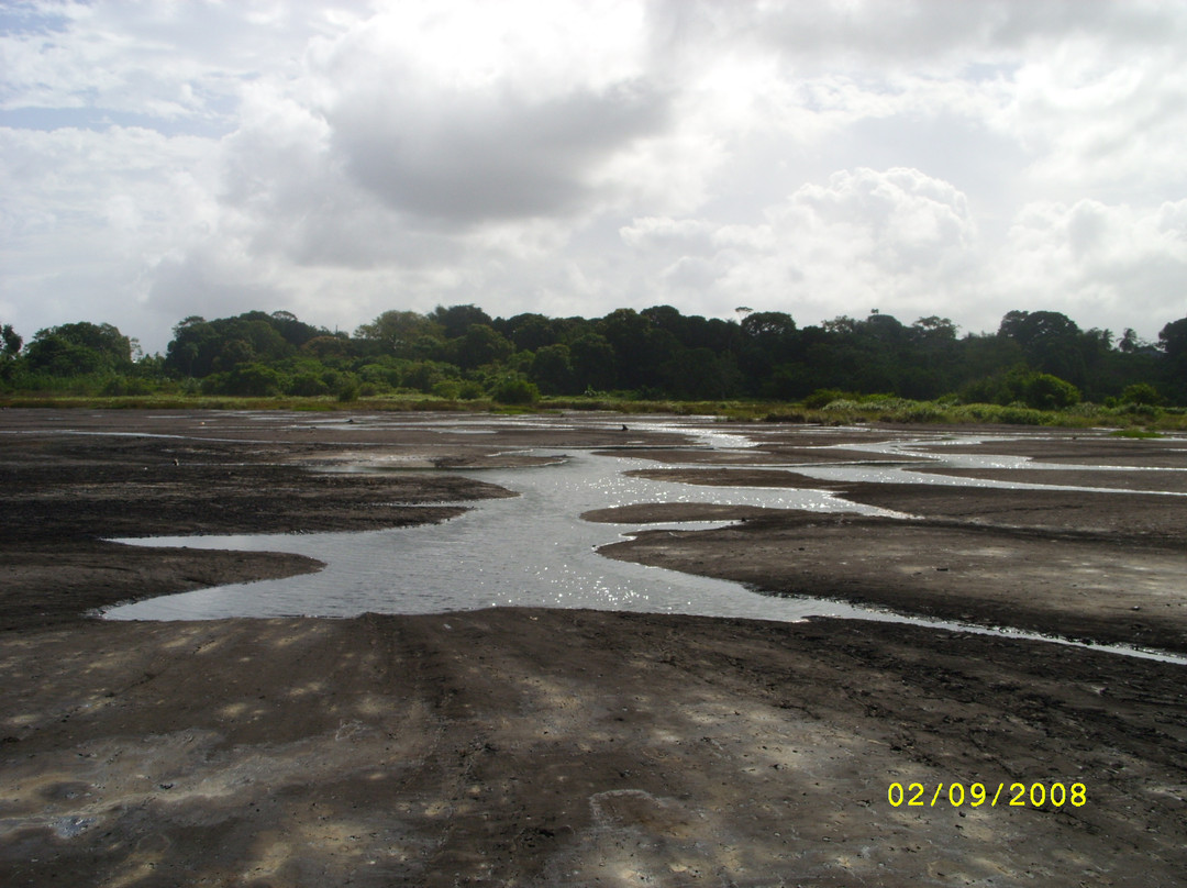 La Brea Pitch Lake-特立尼达必去景点