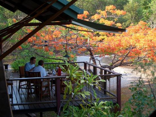 Marae Bed and Breakfast主图