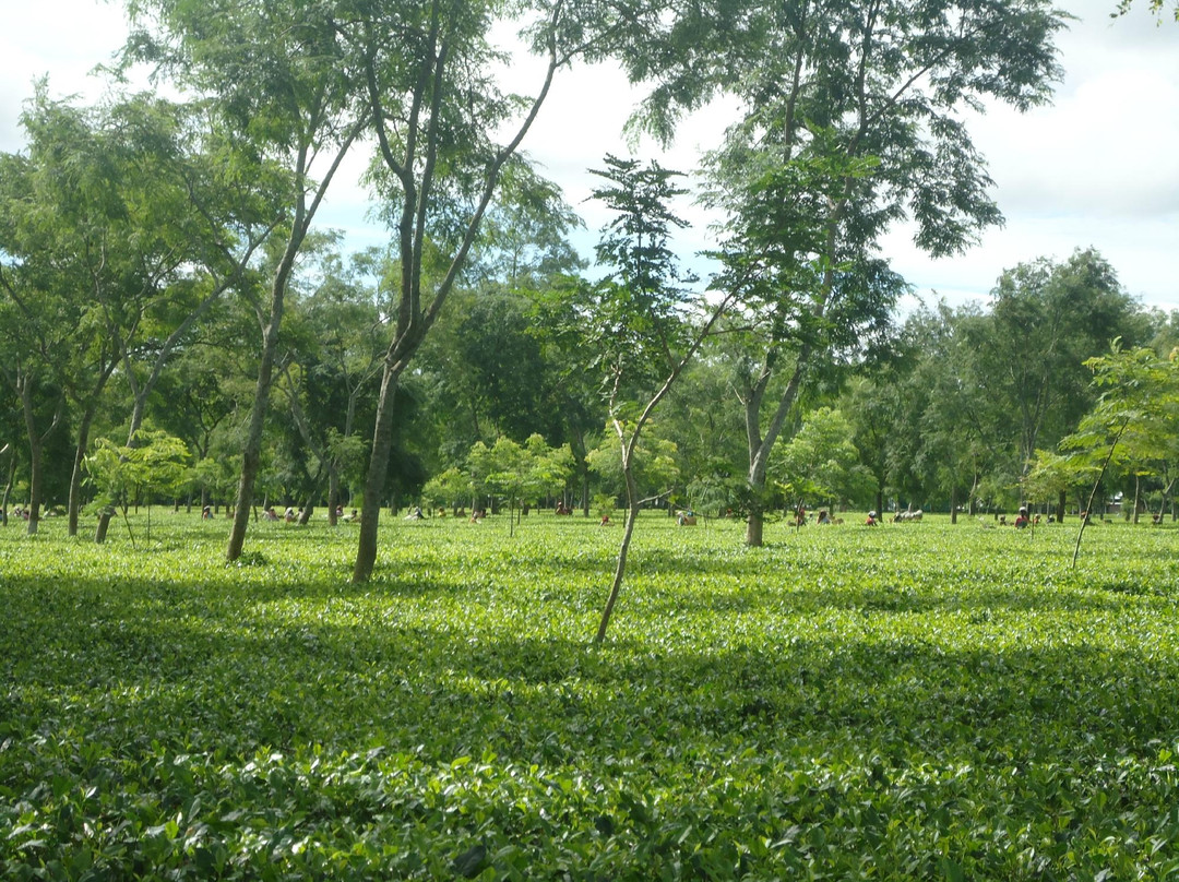 Dhekiajuli-Tezpur必去景点