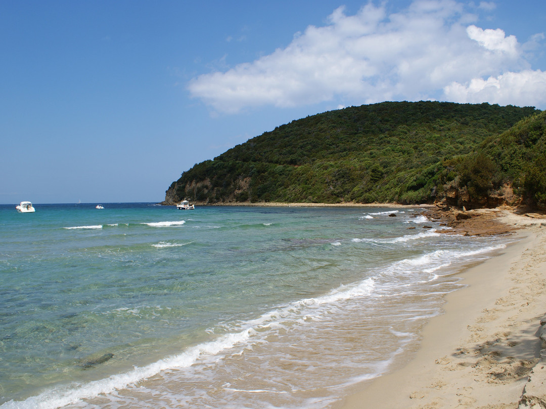 Cala Violina景点图片