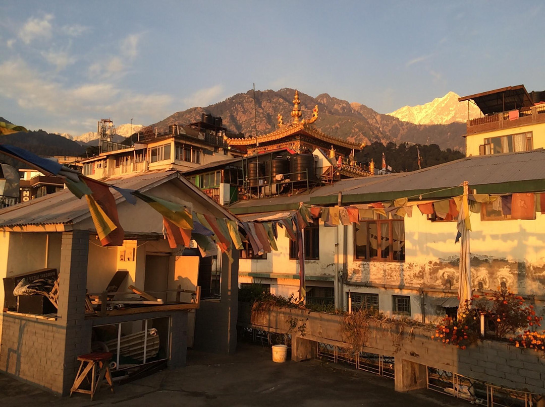 Jangal Reserve Banoi酒店住宿-Om Hotel