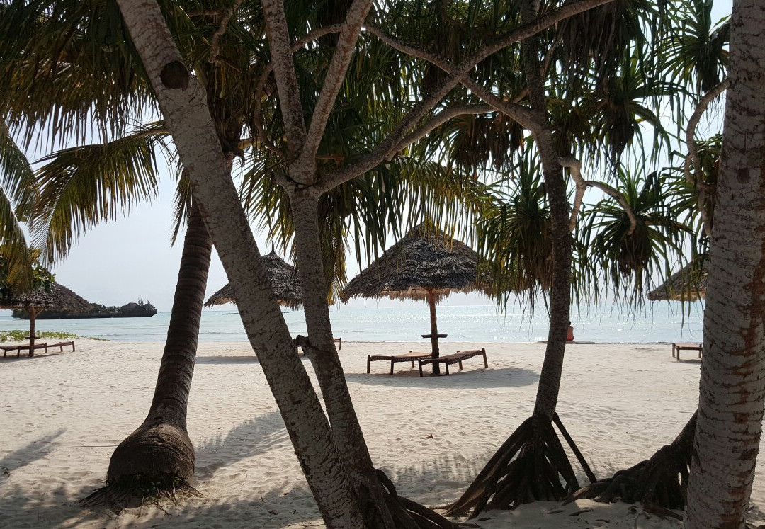 乌罗阿餐馆和美食-Pongwe Beach Hotel