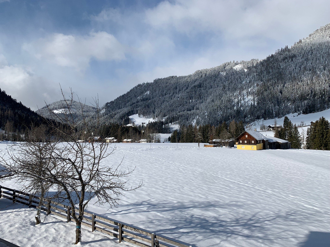 Haus Holl