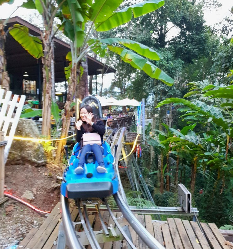 Monjam Zipline Adventure-夜林必去景点
