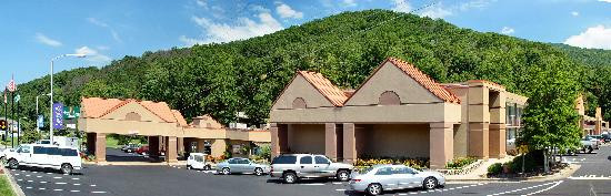 Chestnut Tree Inn Cherokee