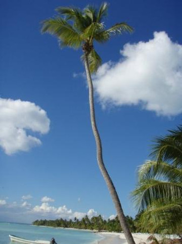 Cumayasa旅游攻略图片