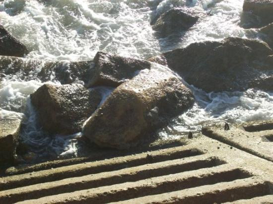 Clifton Beach-卡拉奇必去景点