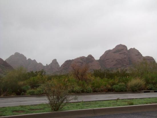 沙漠植物园-凤凰城必去景点