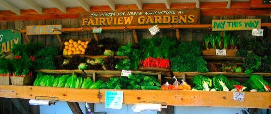 Fairview Gardens-戈利塔必去景点