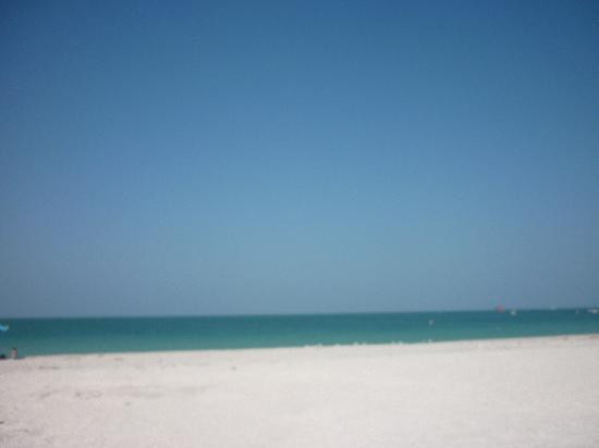 Sand Key Park-克利尔沃特必去景点