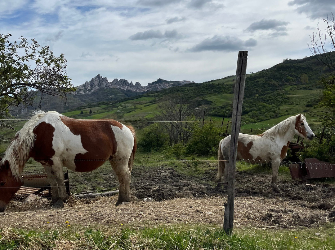 Dolomiti Discovery景点图片