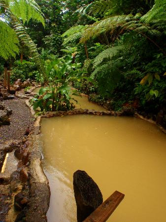 Screw's Sulphur Spa-多米尼克必去景点