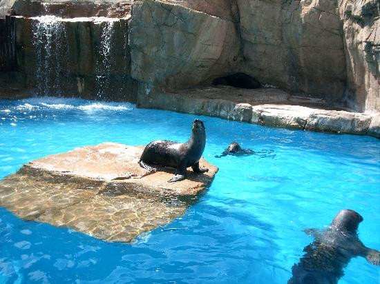 海洋世界水族馆-贝尼多姆必去景点
