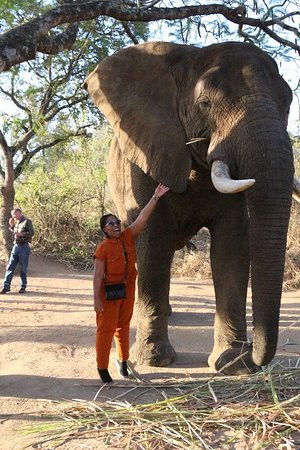 Vomba Tours & Safaris-雾观必去景点