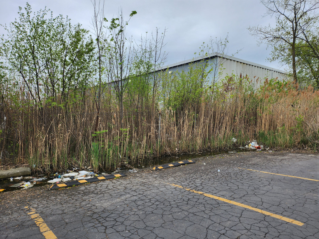 Quality Inn & Suites Near I-80 And I-294主图