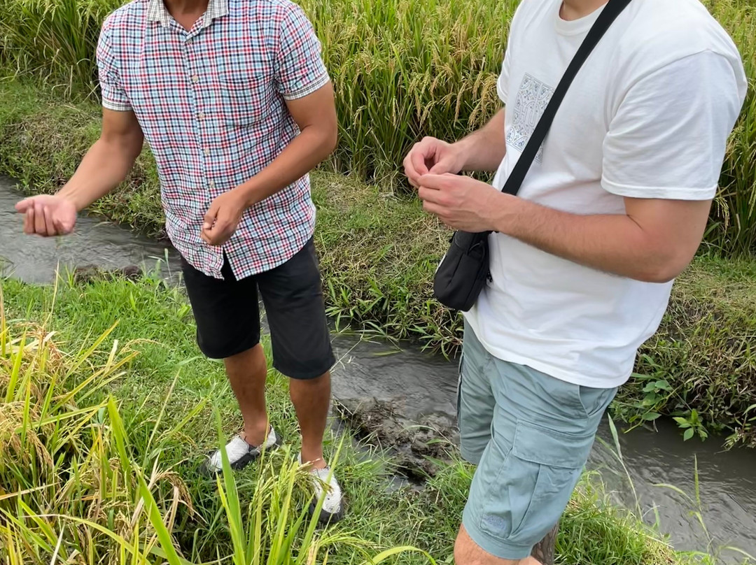 Yogyakarta Gids Tours and Transport-Yogyakarta必去景点