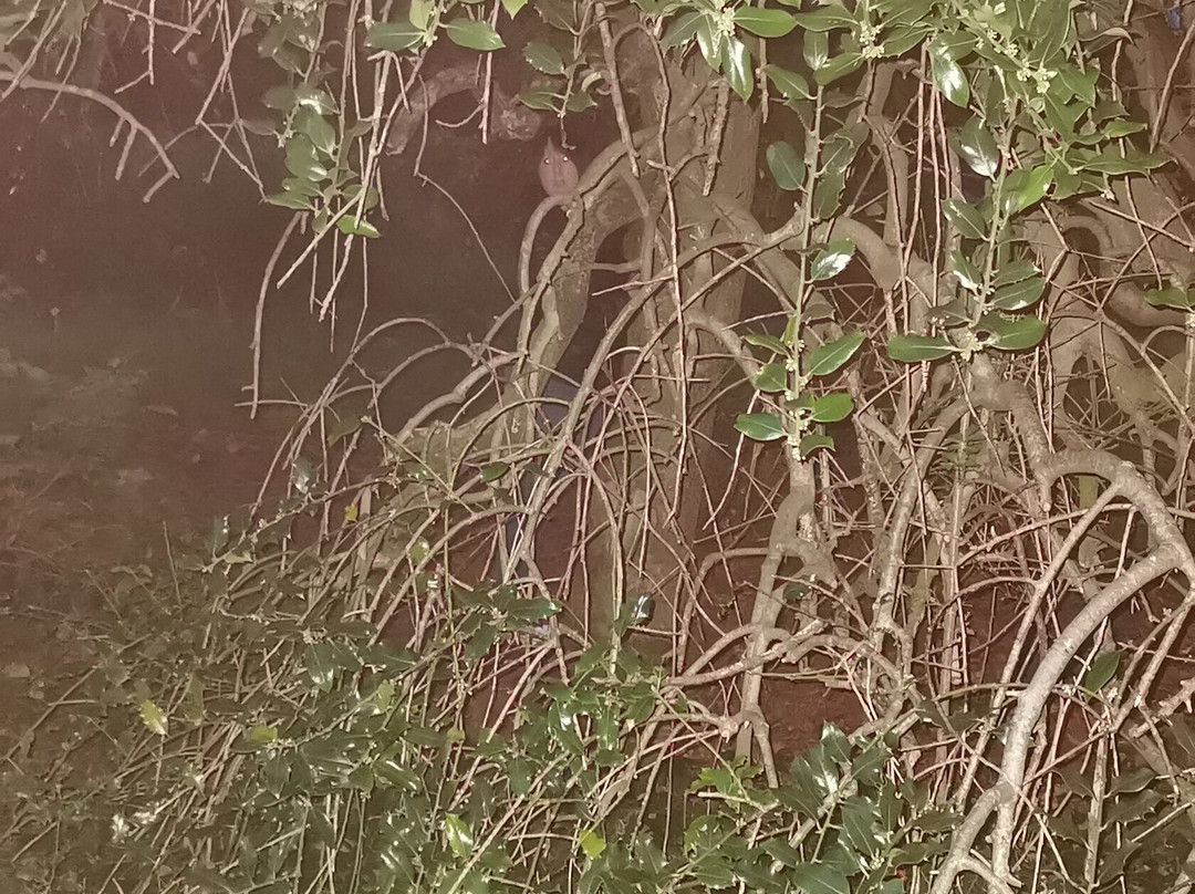 Bath Ghost Tours-巴斯必去景点