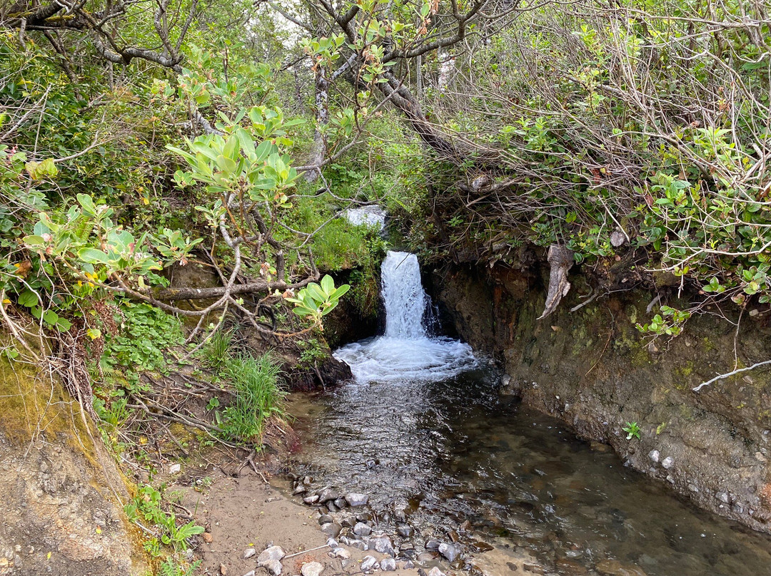 Netarts Bay-Netarts必去景点