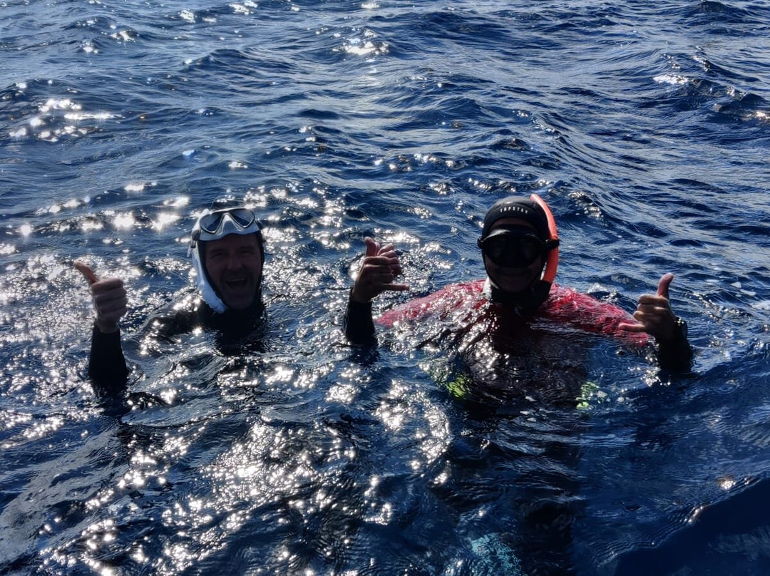 Blue Addiction-La Londe Les Maures必去景点