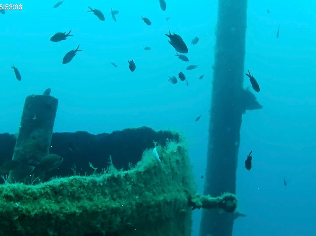 OK Diving Malta-圣保罗湾城必去景点
