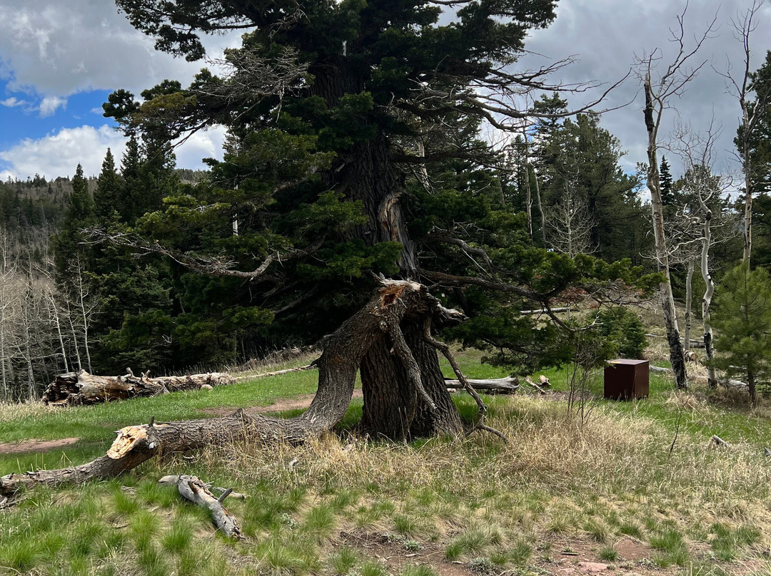 Mountain Master Off-Road Tours-Mosca必去景点