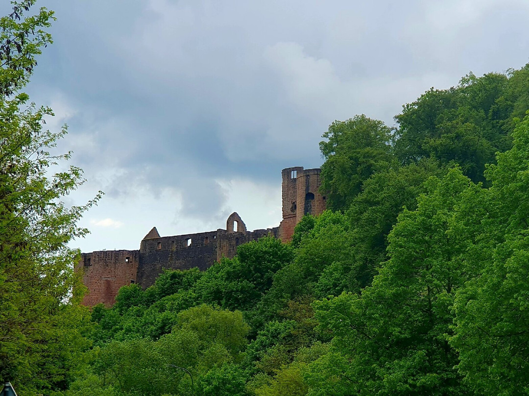 Burgruine Hardenburg-巴特迪克海姆必去景点