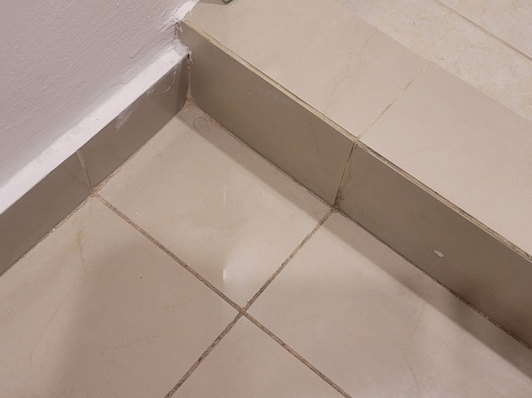 Wyndham Garden Guadalajara Acueducto主图