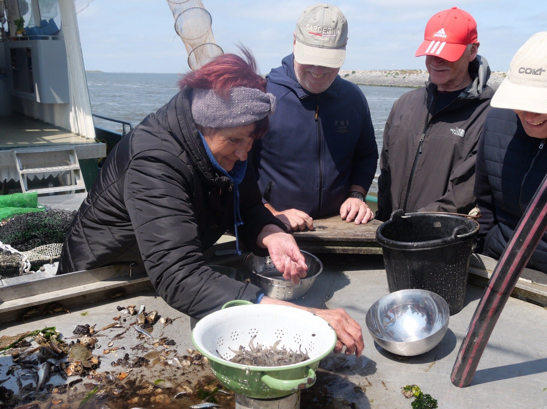 Jan Rotgans-Den Oever必去景点