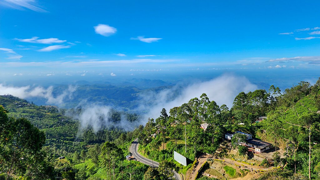 奥林巴斯广场酒店主图
