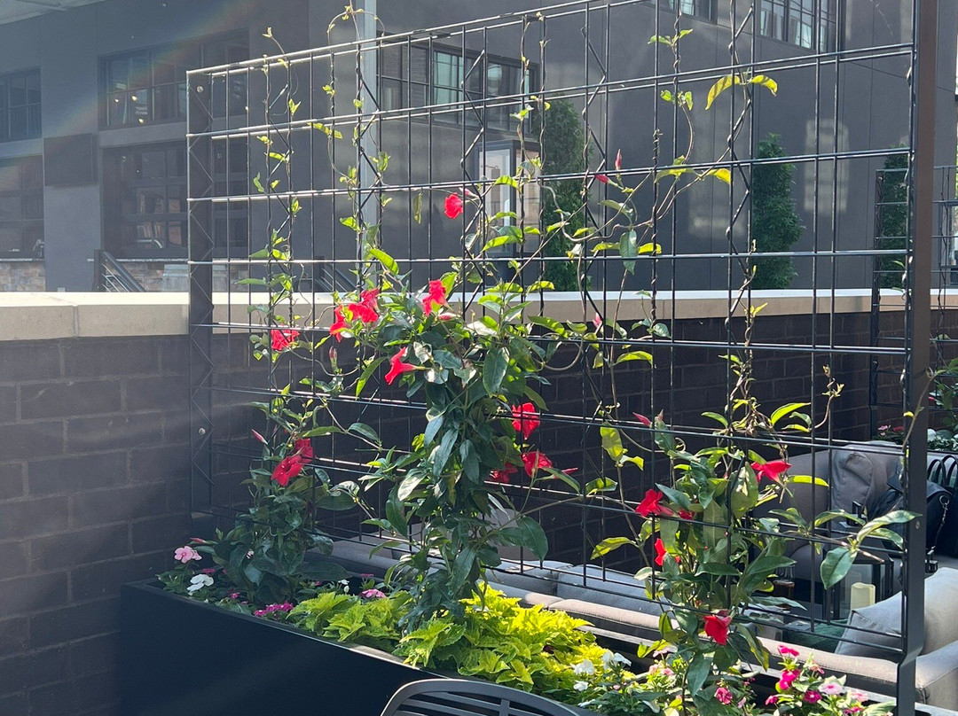 AC Hotel Dayton主图