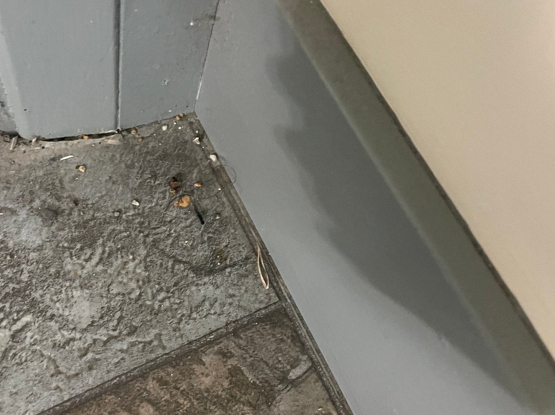 乡村绿色酒店主图