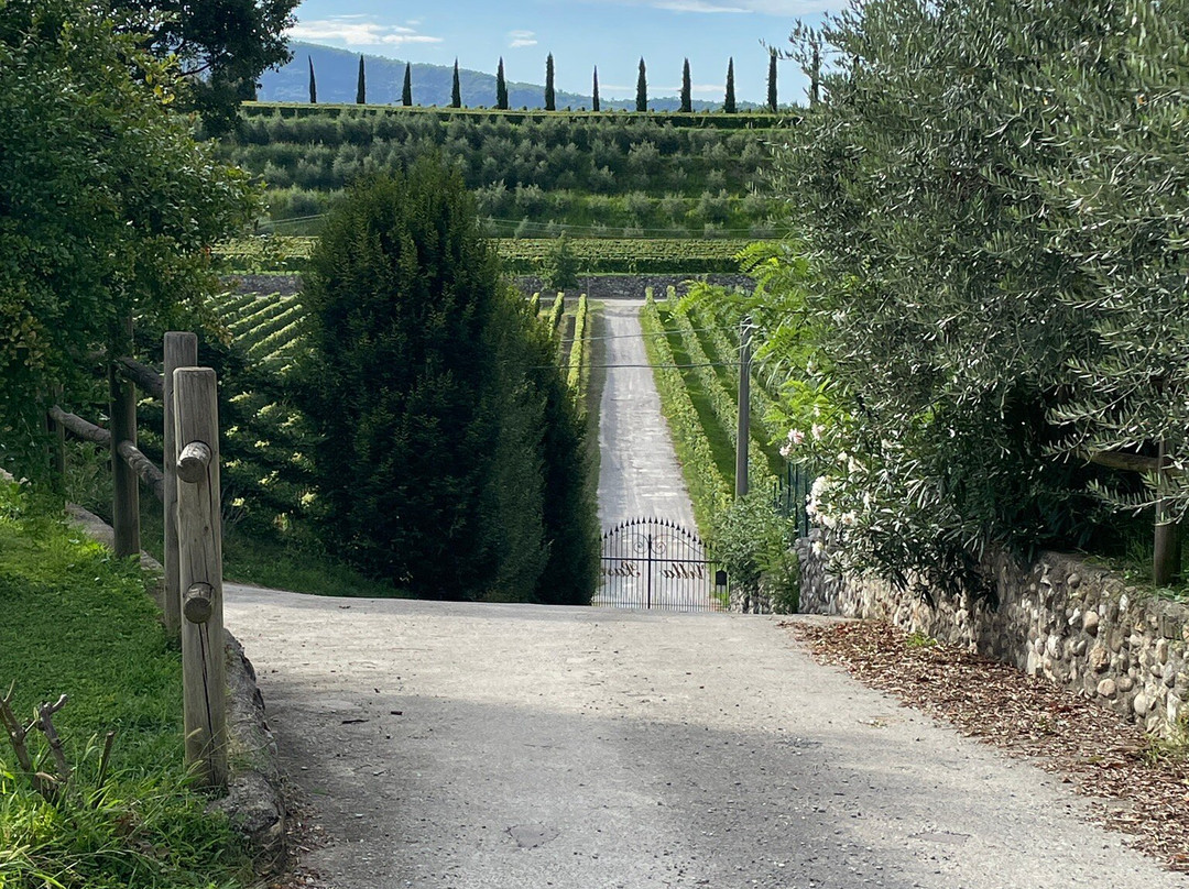 B&B Villa Pasini主图
