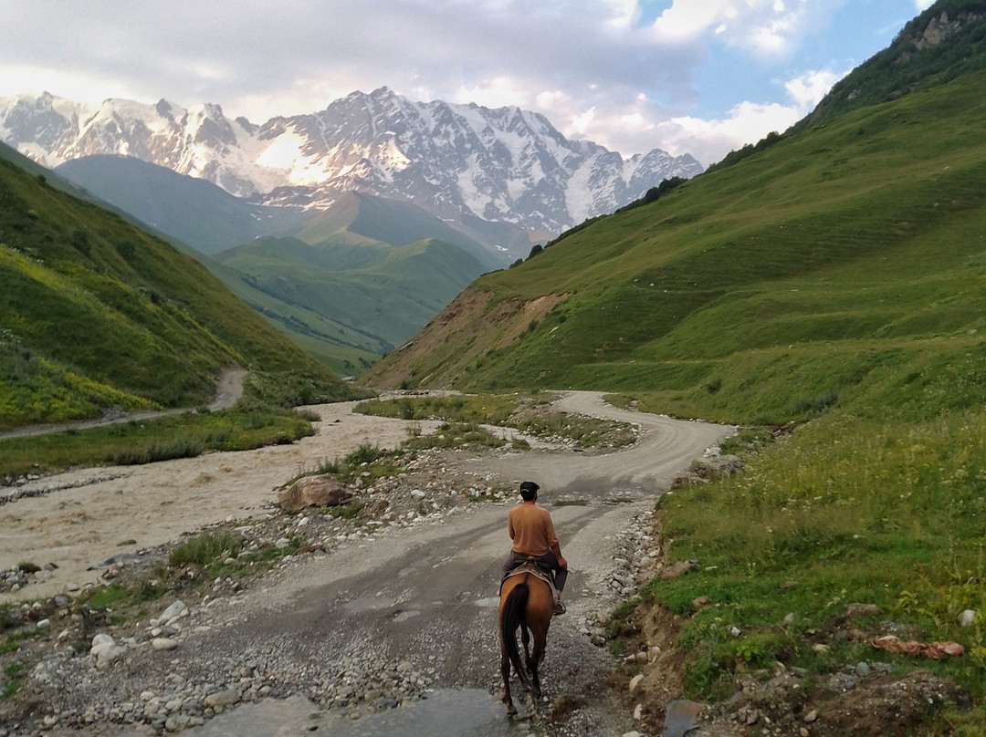 Horse rentals and tours in Ushguli景点图片
