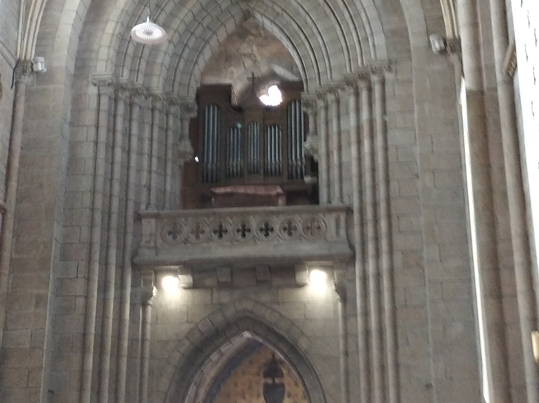 Basilique Notre Dame de Délivrance景点图片