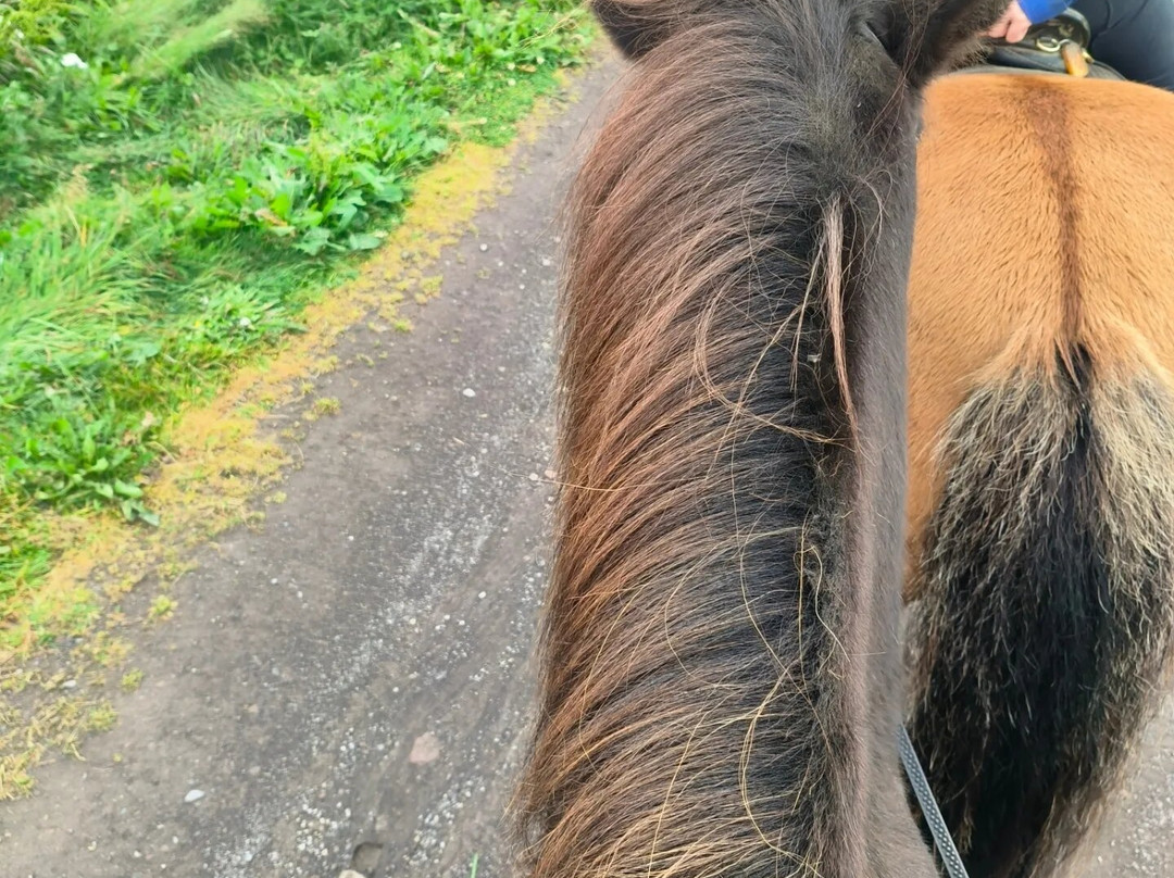 Saltvik-胡萨维克必去景点