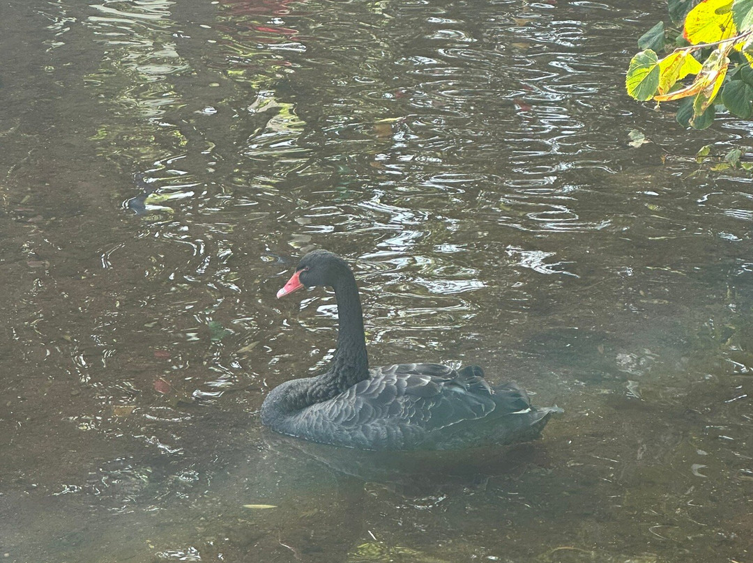 Lammas Park House主图