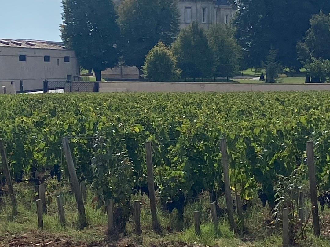 Le Coeur des Vignes主图