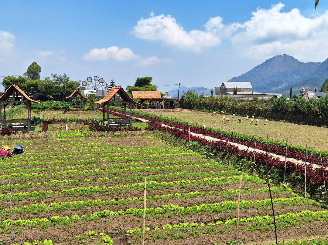 Desa Wisata Pujon Kidul景点图片