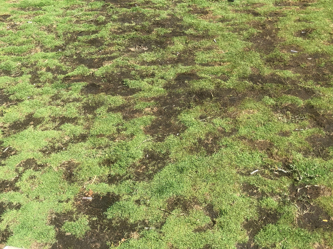 Eagle Vines Golf Course-纳帕溪谷必去景点