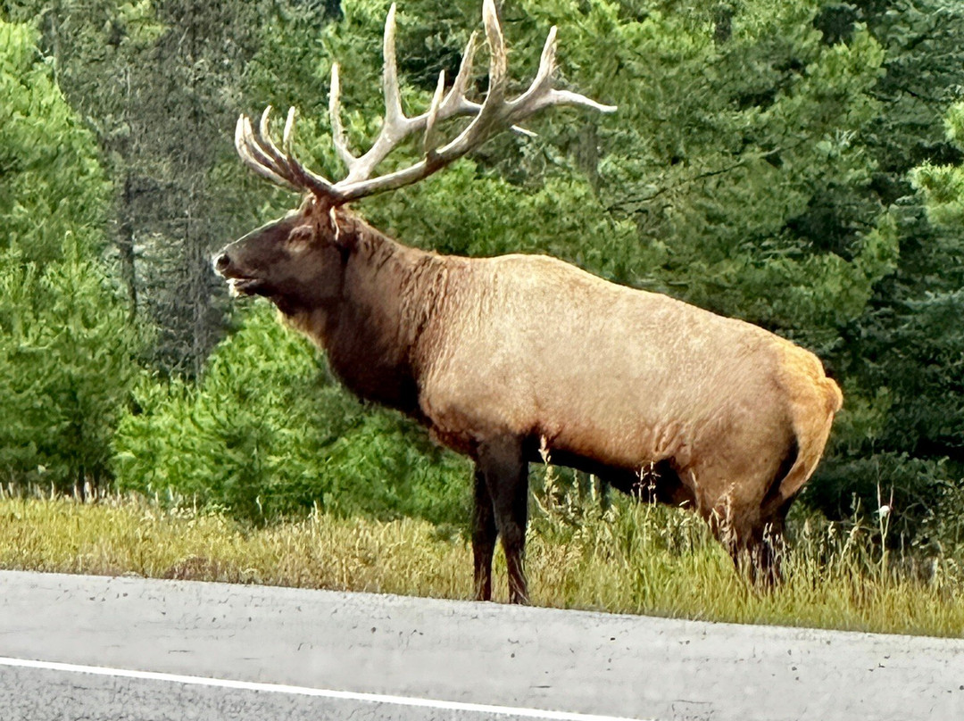 罗布森山酒店主图