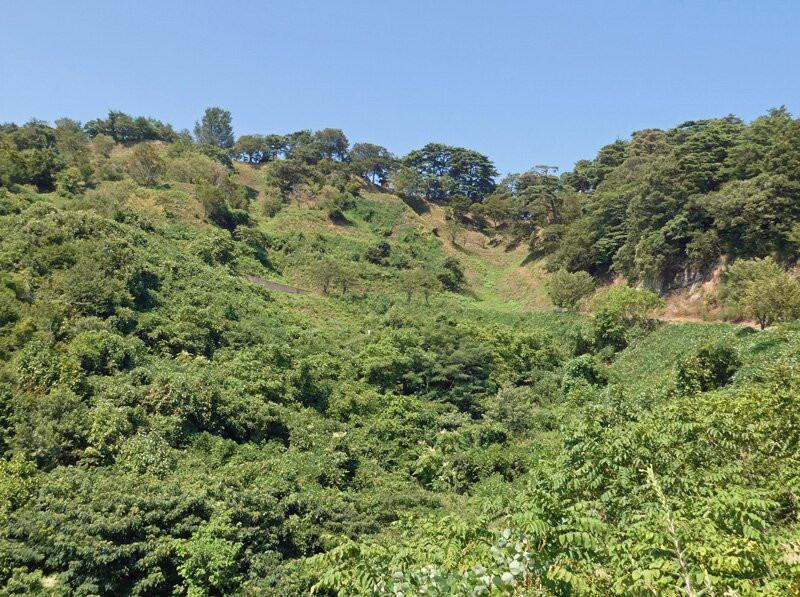 Kasugayama Castle Ruins景点图片
