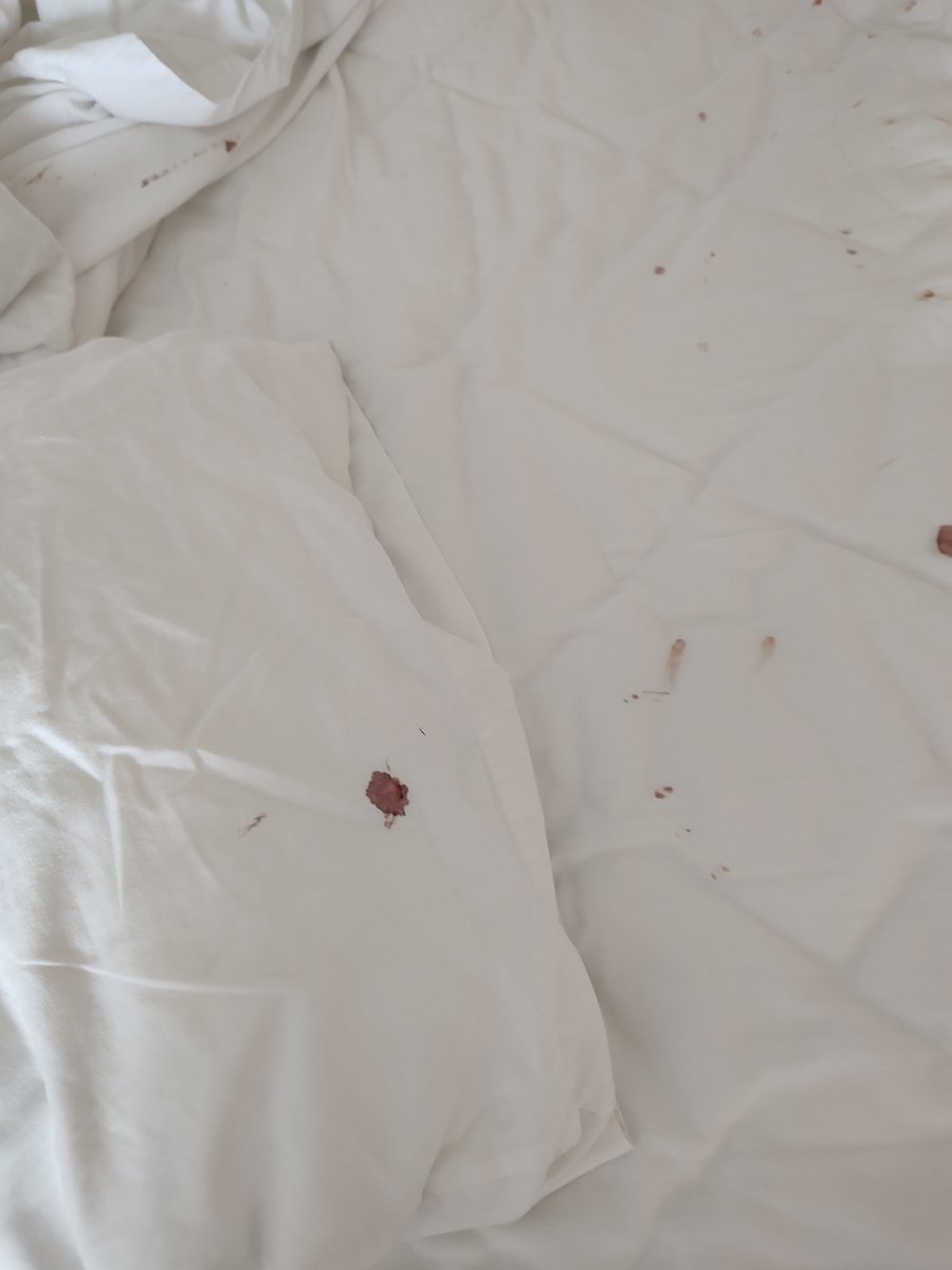 好莱坞班戈 酒店-客卧