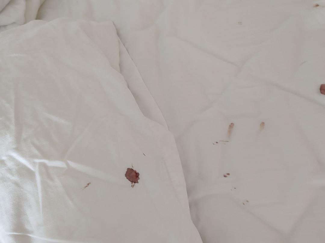 好莱坞班戈 酒店主图