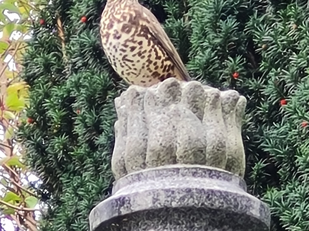 Balmridge House主图