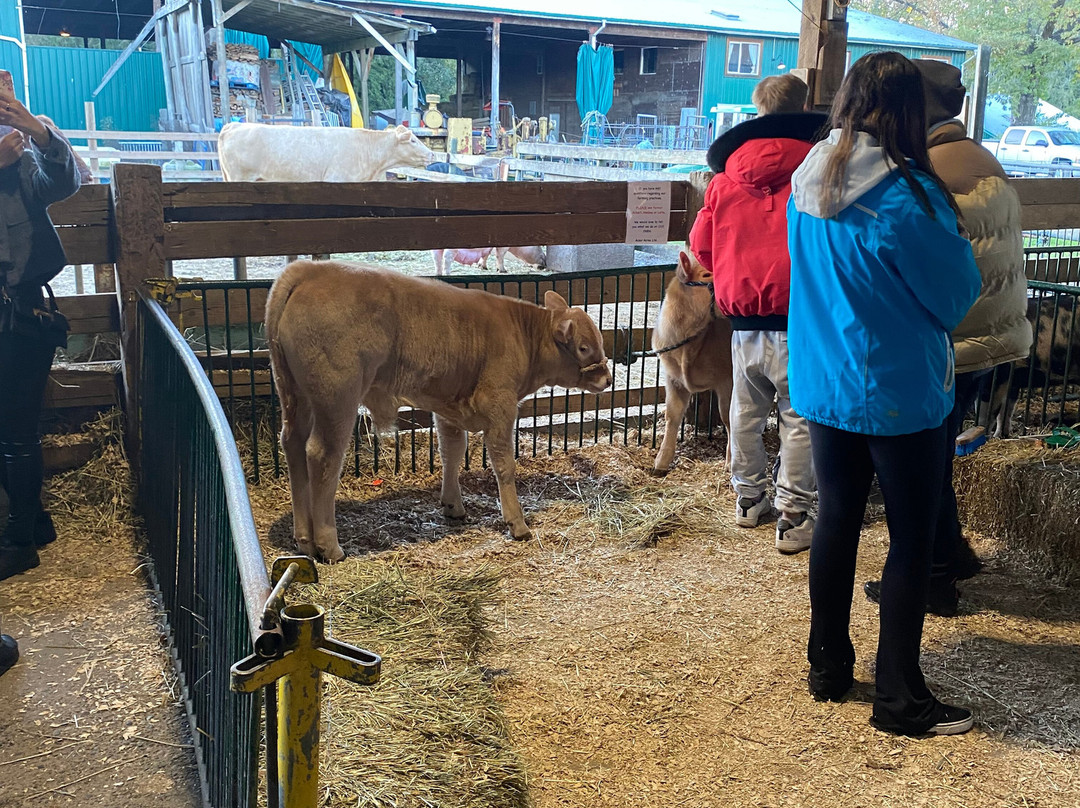 Aldor Acres Family Farm-兰里市必去景点