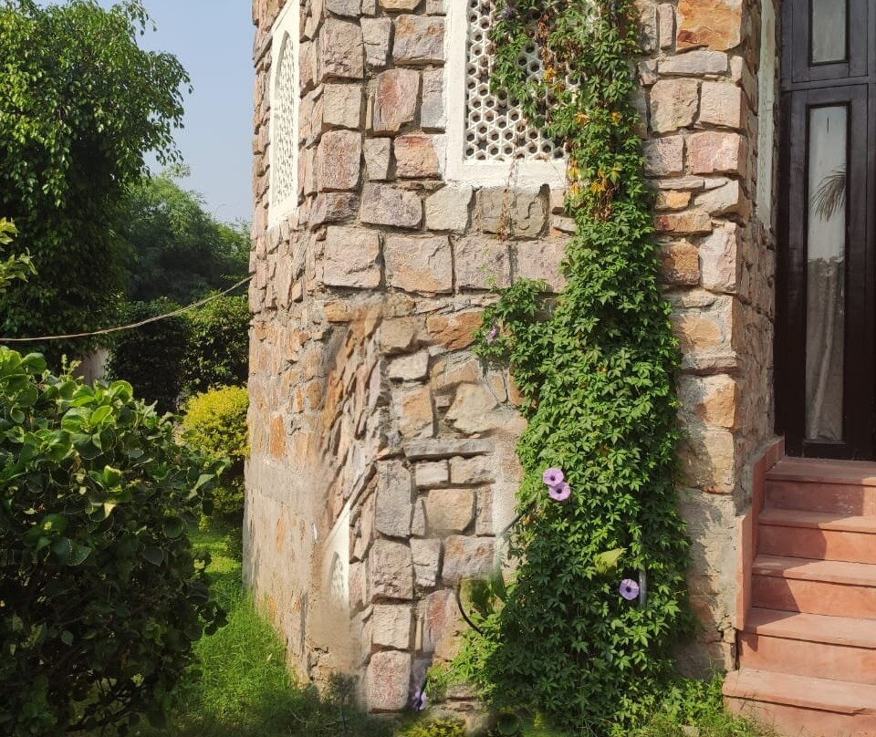 Sultan Bagh Jungle Camp主图