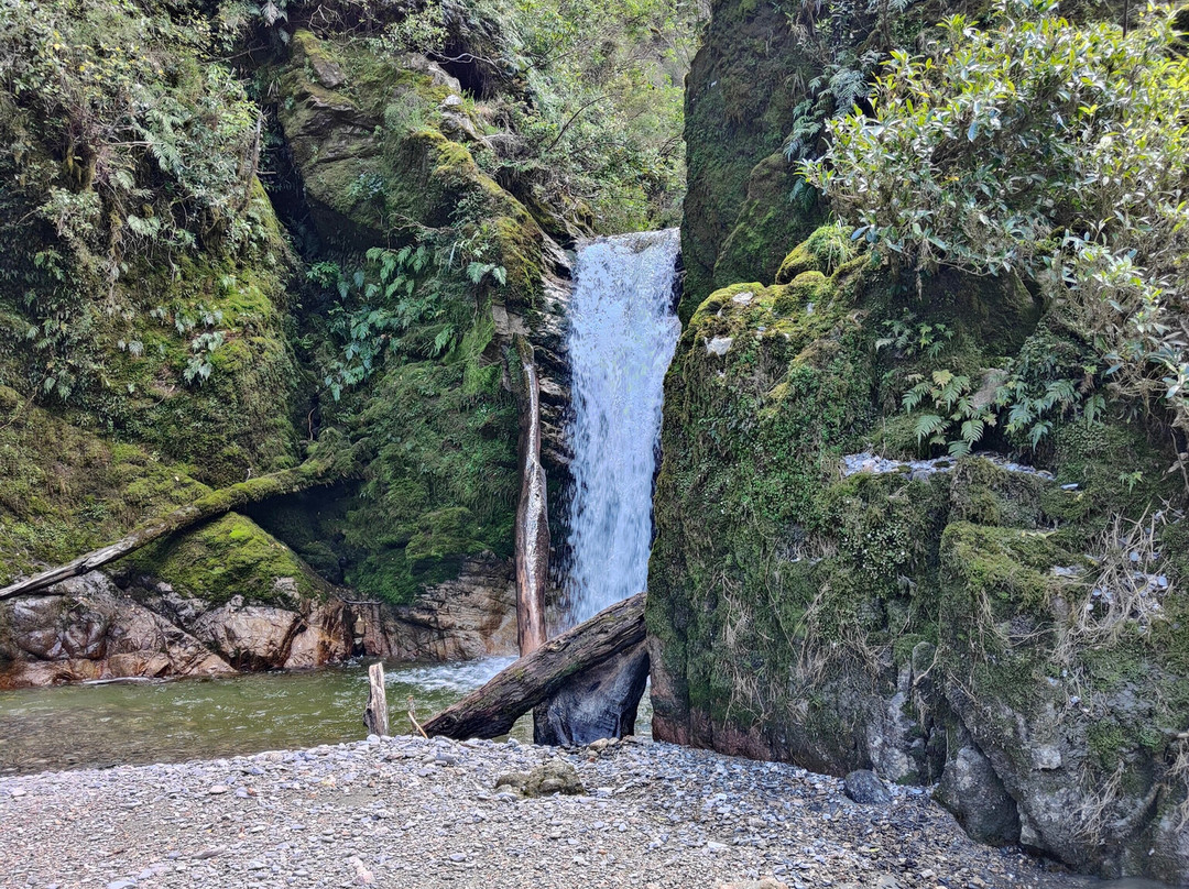 Buller Canyon Jet景点图片